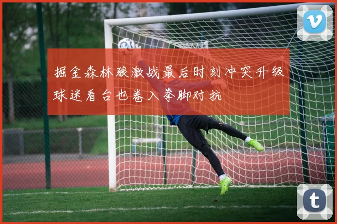 掘金森林狼激战最后时刻冲突升级球迷看台也卷入拳脚对抗