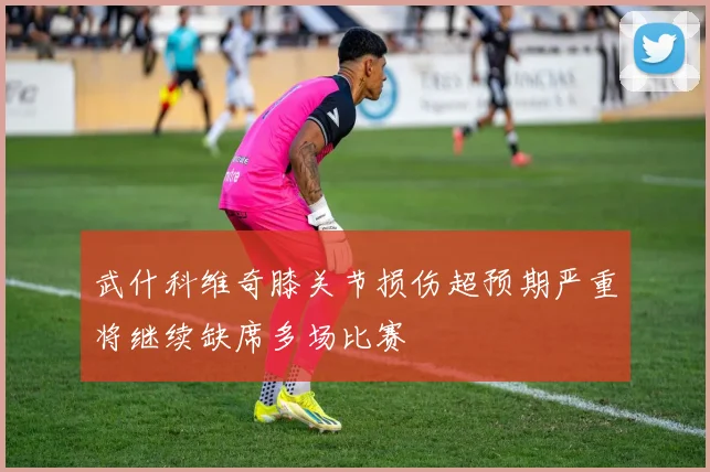 武什科维奇膝关节损伤超预期严重将继续缺席多场比赛